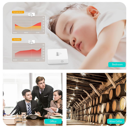 Third Reality Temp & Humidity Sensor