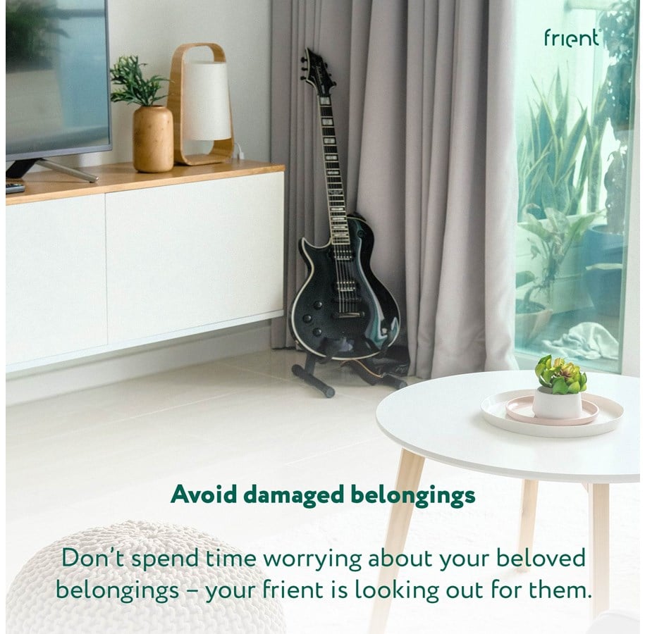 Frient Temperatur & Fugt Sensor (DEMO)